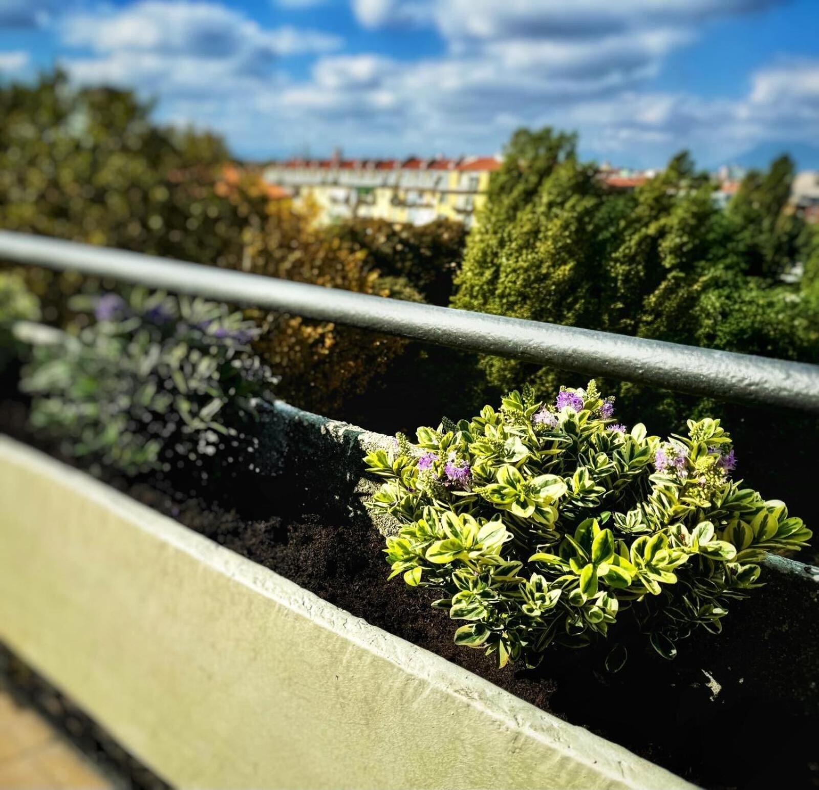Apartmán Gianduja - Attico Con Terrazzo Turín Exteriér fotografie